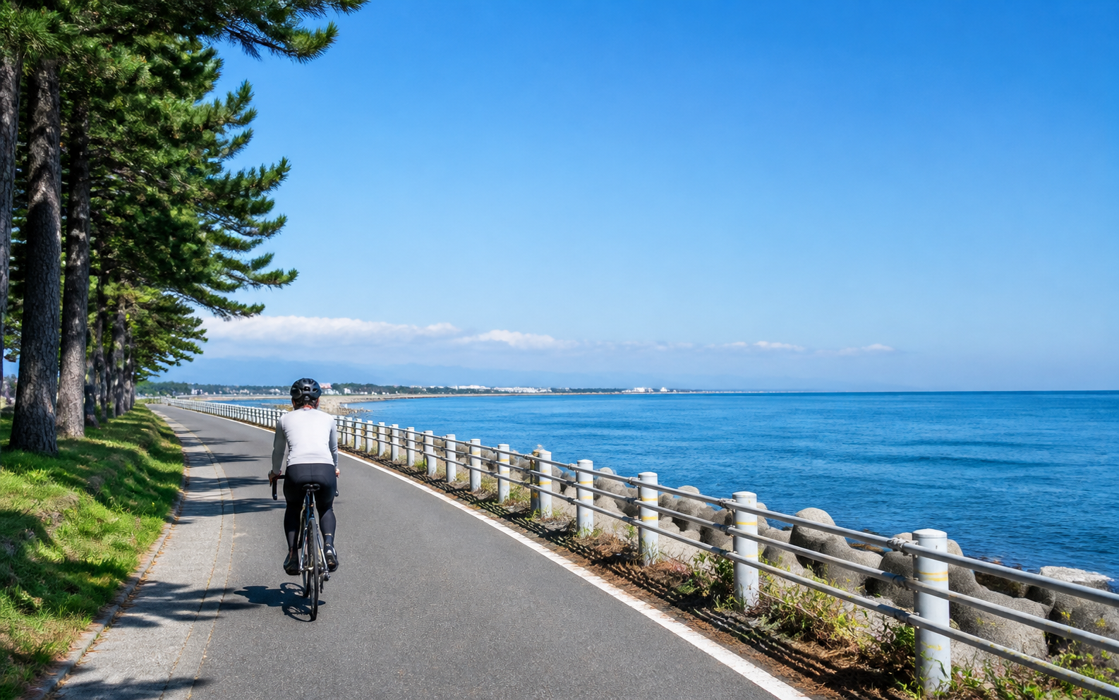 海沿いを走るサイクルルート